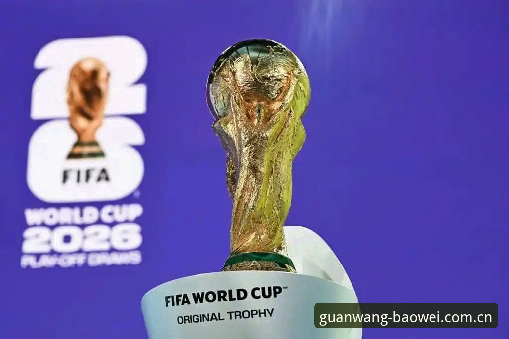 2026世界杯观赛签证难题破解教程：宝威体育平台带你了解最新动态